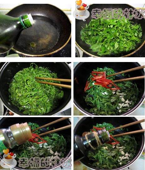 有驱虫提神功效的凉拌花椒芽