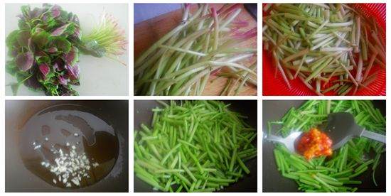 剁椒炒苋菜梗 剁椒炒苋菜梗