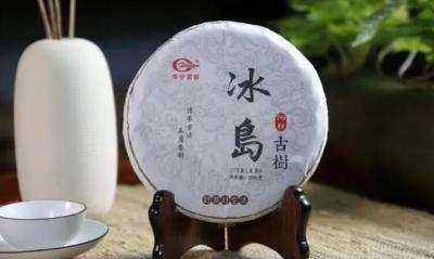 冰岛普洱茶是生茶还是熟茶