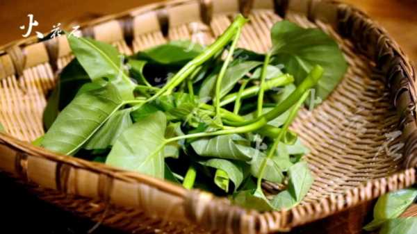 空心菜怎么炒