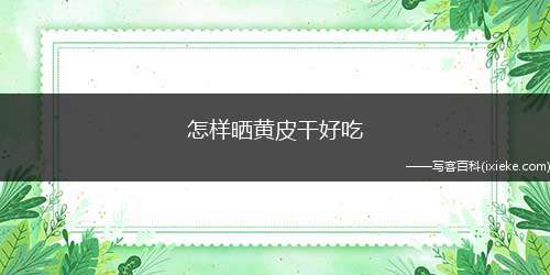 怎样晒黄皮干好吃