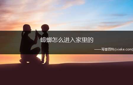 蟑螂怎么入进家里的