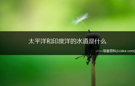 太平洋和印度洋的水道是什么(马六甲海峡位于印度洋北部、马来半岛和印度尼西亚的苏门答腊岛之)
