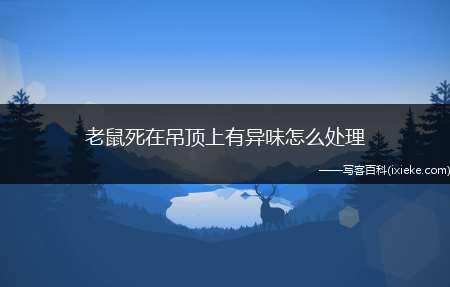 老鼠死在吊顶上有异味怎么处理(活性炭分子和污染物分子之间的作用力)