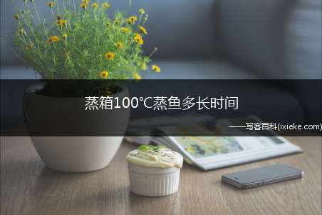 蒸箱100℃蒸鱼多长时间(蒸箱100°C蒸鱼蒸10分钟左右)