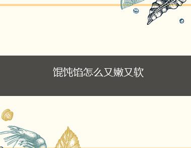 馄饨馅怎么又嫩又软(猪肉馅300g、鸡蛋1颗、盐2小匙、白细砂糖)