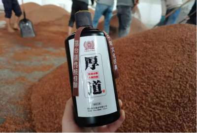 中国白酒什么味，高粱说了算！名优白酒的“宠儿”凭啥是它？插图12