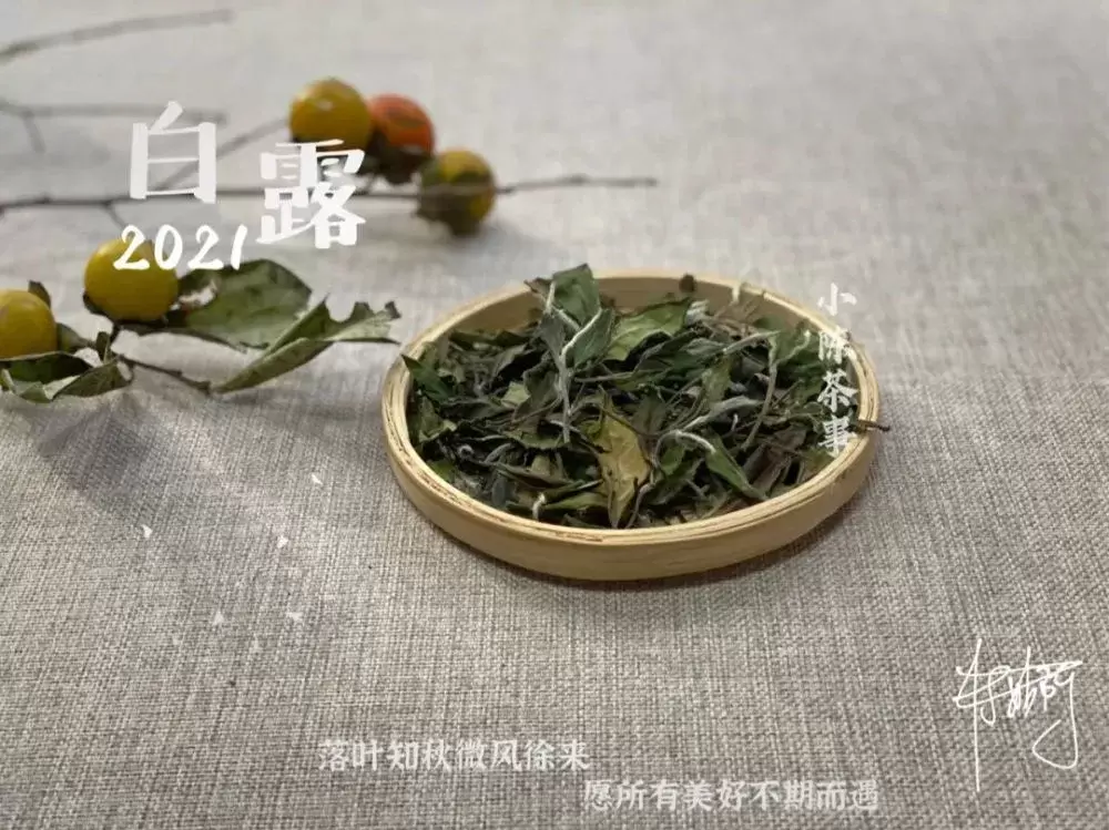 3个优点，带你重新认识寿眉，它可不是白茶里最拿不出手的茶插图8