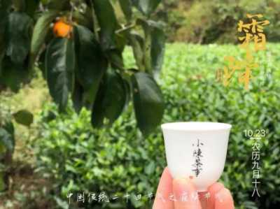 寿眉、老白茶、做旧茶，究竟有什么关系？不用找了，一篇文章弄懂插图16