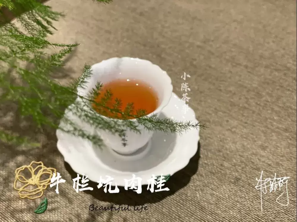 听说，老茶客都是这么闻茶香的，绿茶、红茶、白茶都能用插图6