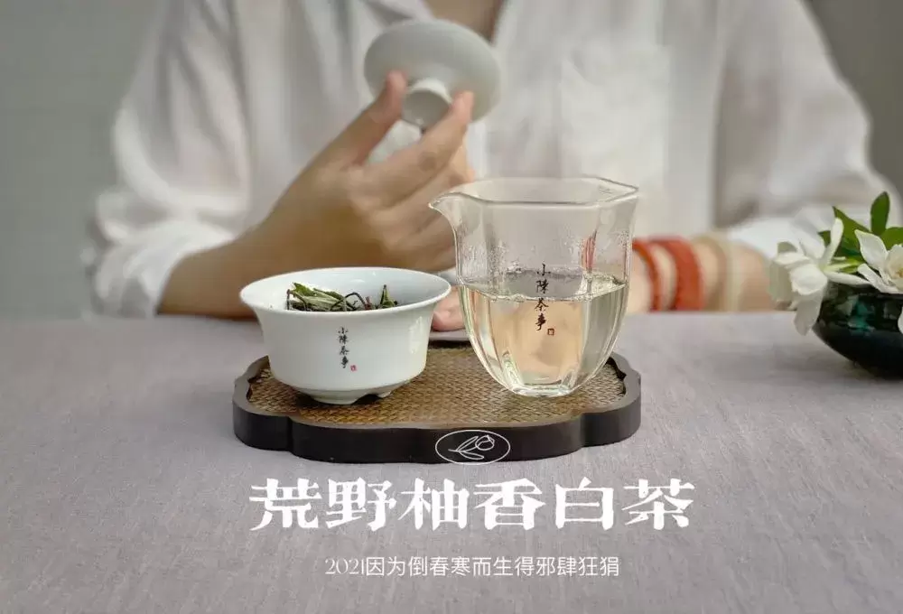 听说，老茶客都是这么闻茶香的，绿茶、红茶、白茶都能用插图10