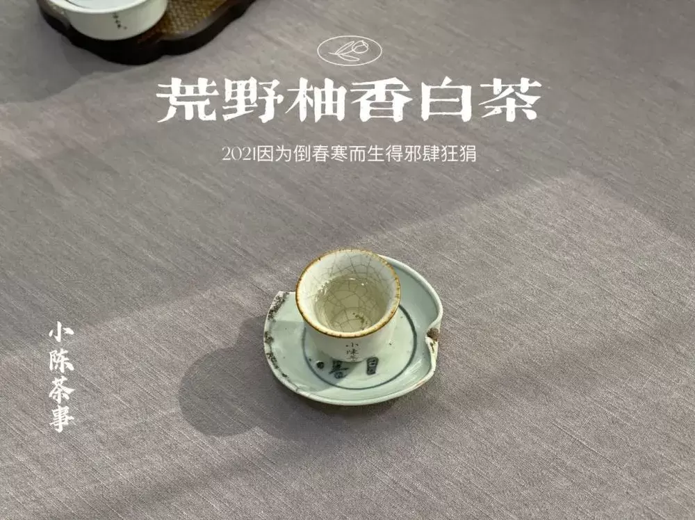 听说，老茶客都是这么闻茶香的，绿茶、红茶、白茶都能用插图12