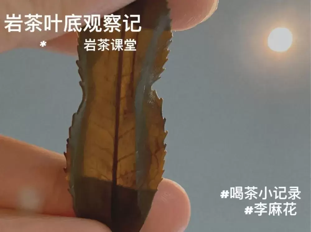 买老丛水仙送牛栏坑肉桂，大红袍送正山小种，双十一藏着哪些坑？插图6