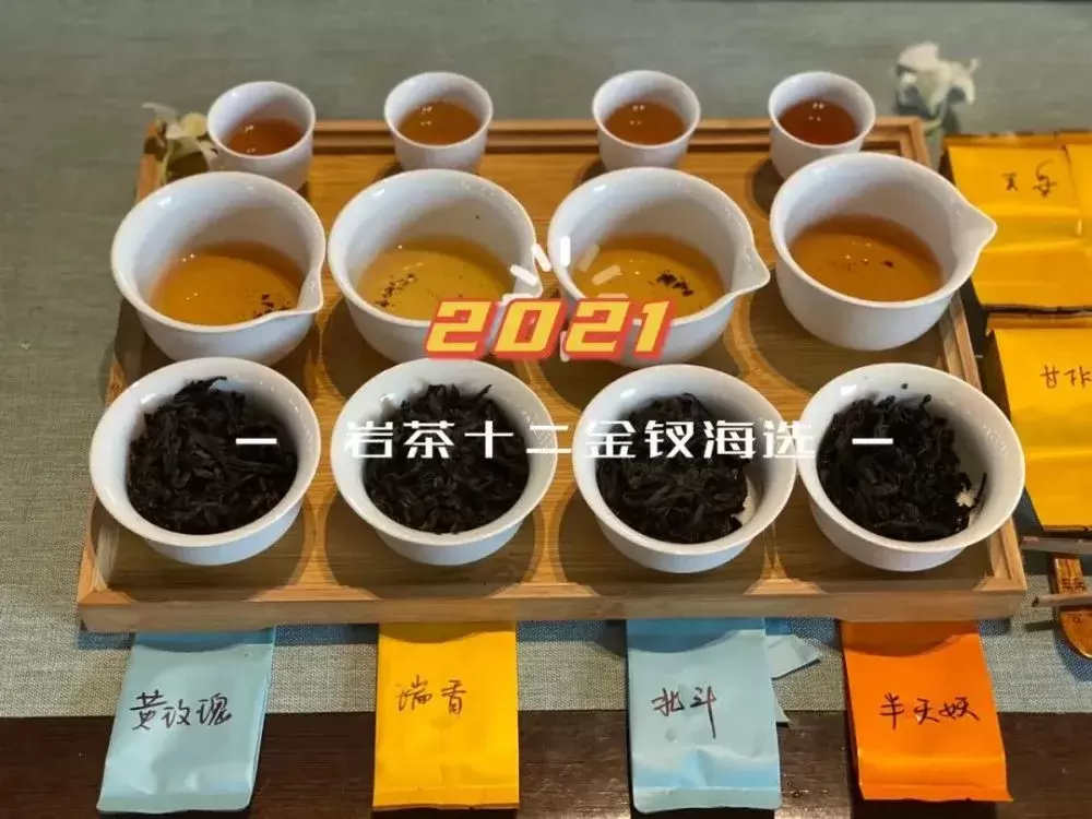 铁罗汉、玉麒麟、向天梅、金钥匙，这款岩茶组合诠释武夷岩茶之美插图20