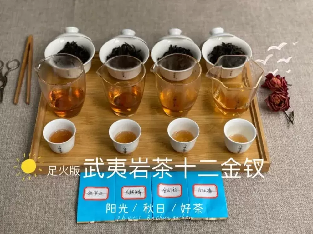 铁罗汉、玉麒麟、向天梅、金钥匙，这款岩茶组合诠释武夷岩茶之美插图12