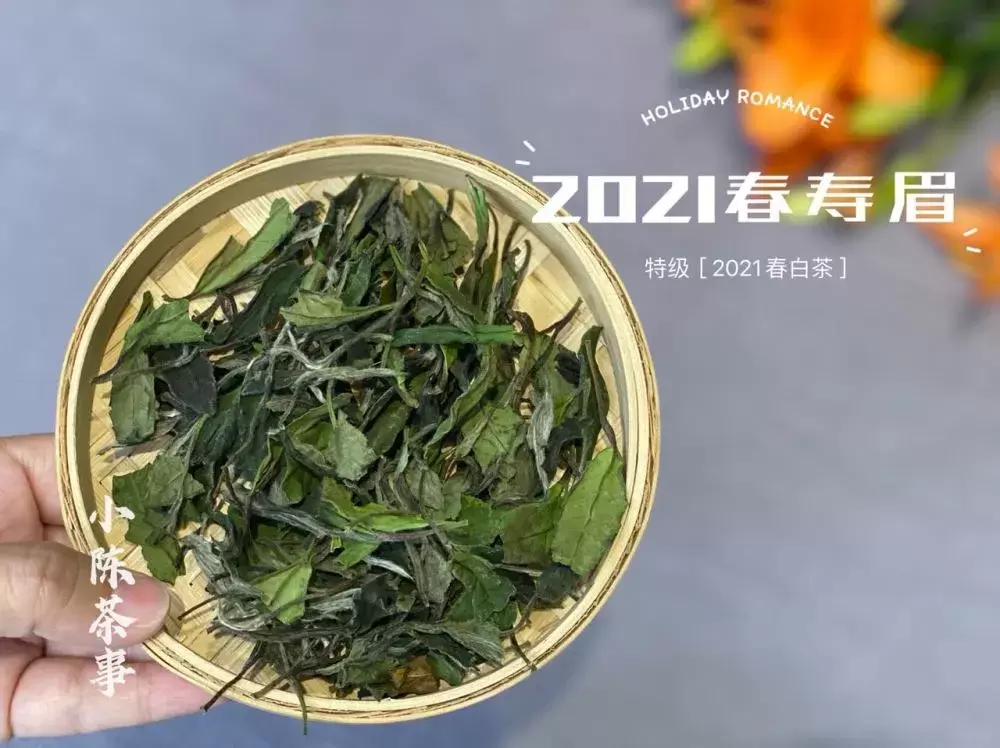 3个优点，带你重新认识寿眉，它可不是白茶里最拿不出手的茶插图4