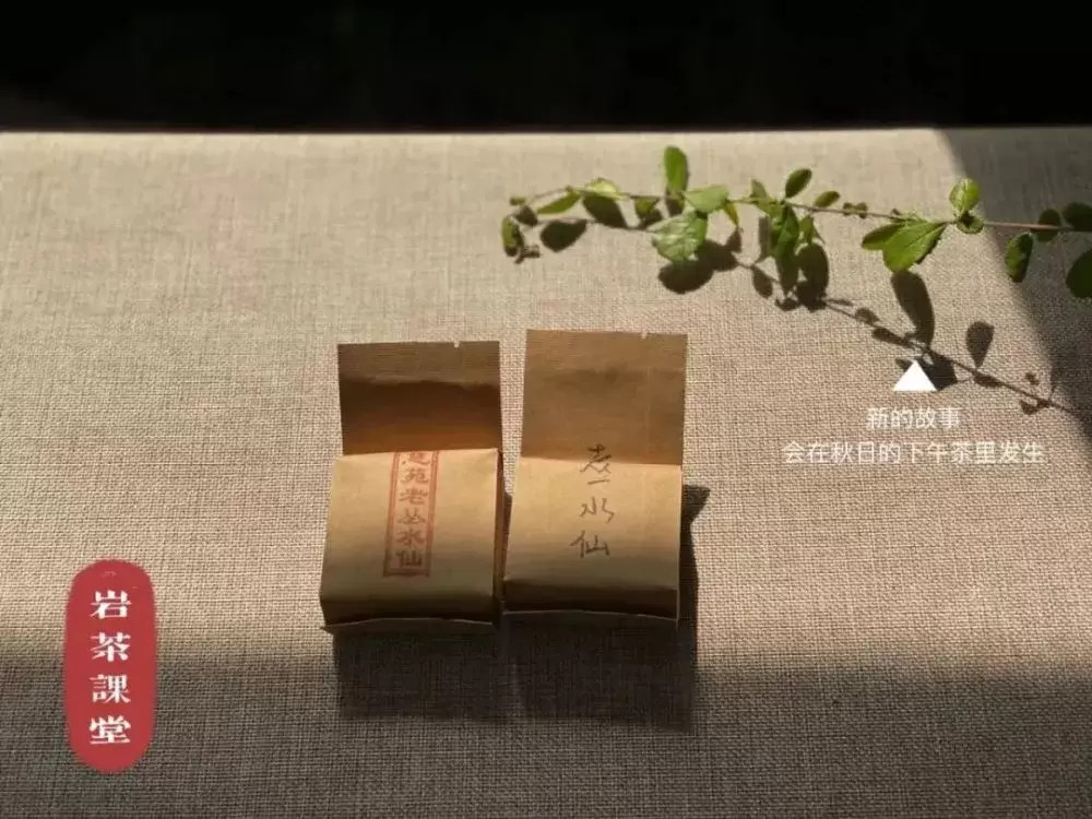 五花八门的岩茶品种，如何精准挑选优质岩茶？内行人教你一招插图6