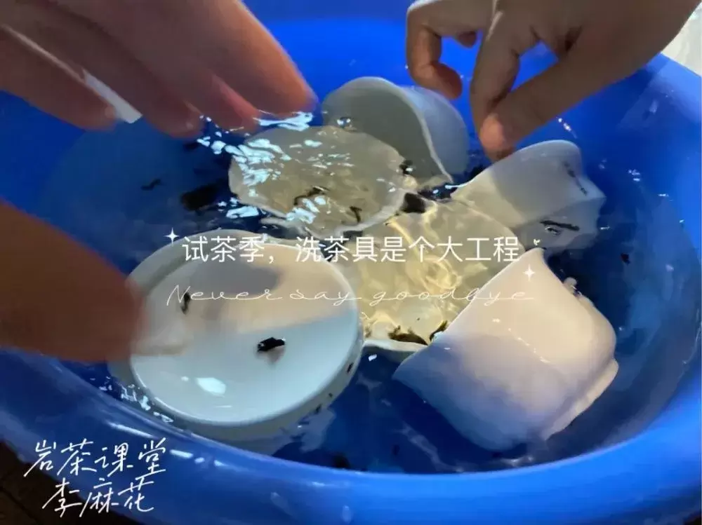 五花八门的岩茶品种，如何精准挑选优质岩茶？内行人教你一招插图4