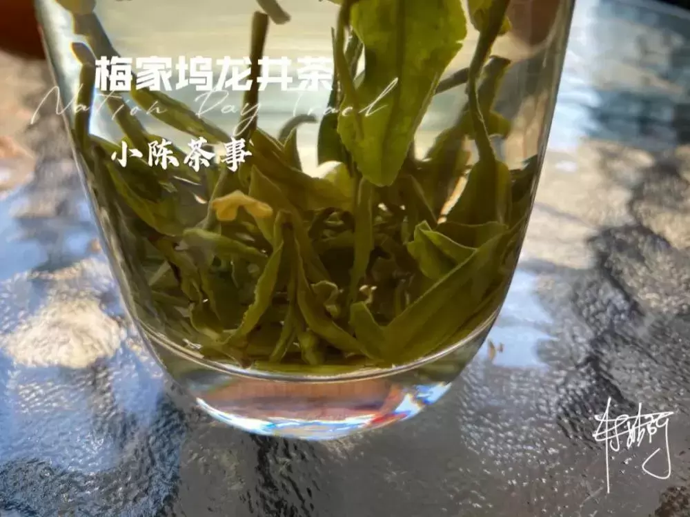 绿茶、黄茶、白茶、红茶、普洱茶、岩茶，褪完火才能喝？插图10