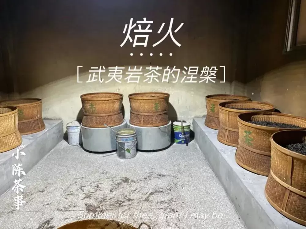 绿茶、黄茶、白茶、红茶、普洱茶、岩茶，褪完火才能喝？插图16