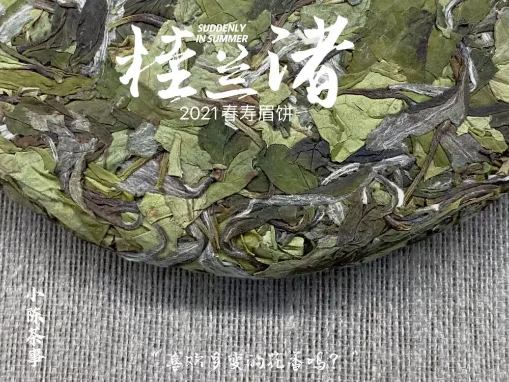 一段关于白茶寿眉饼的茶评，短短26个字，村姑陈扒出4大错漏插图