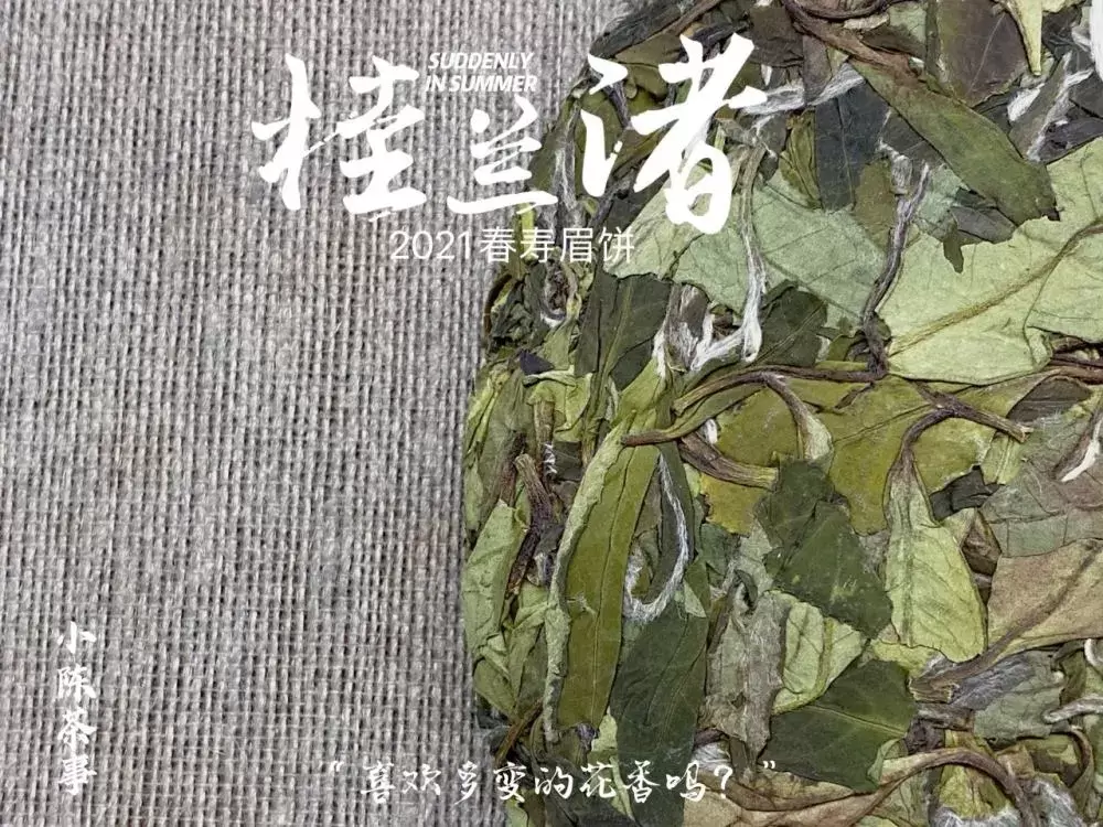 一段关于白茶寿眉饼的茶评，短短26个字，村姑陈扒出4大错漏插图2