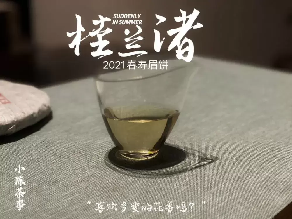 一段关于白茶寿眉饼的茶评，短短26个字，村姑陈扒出4大错漏插图10